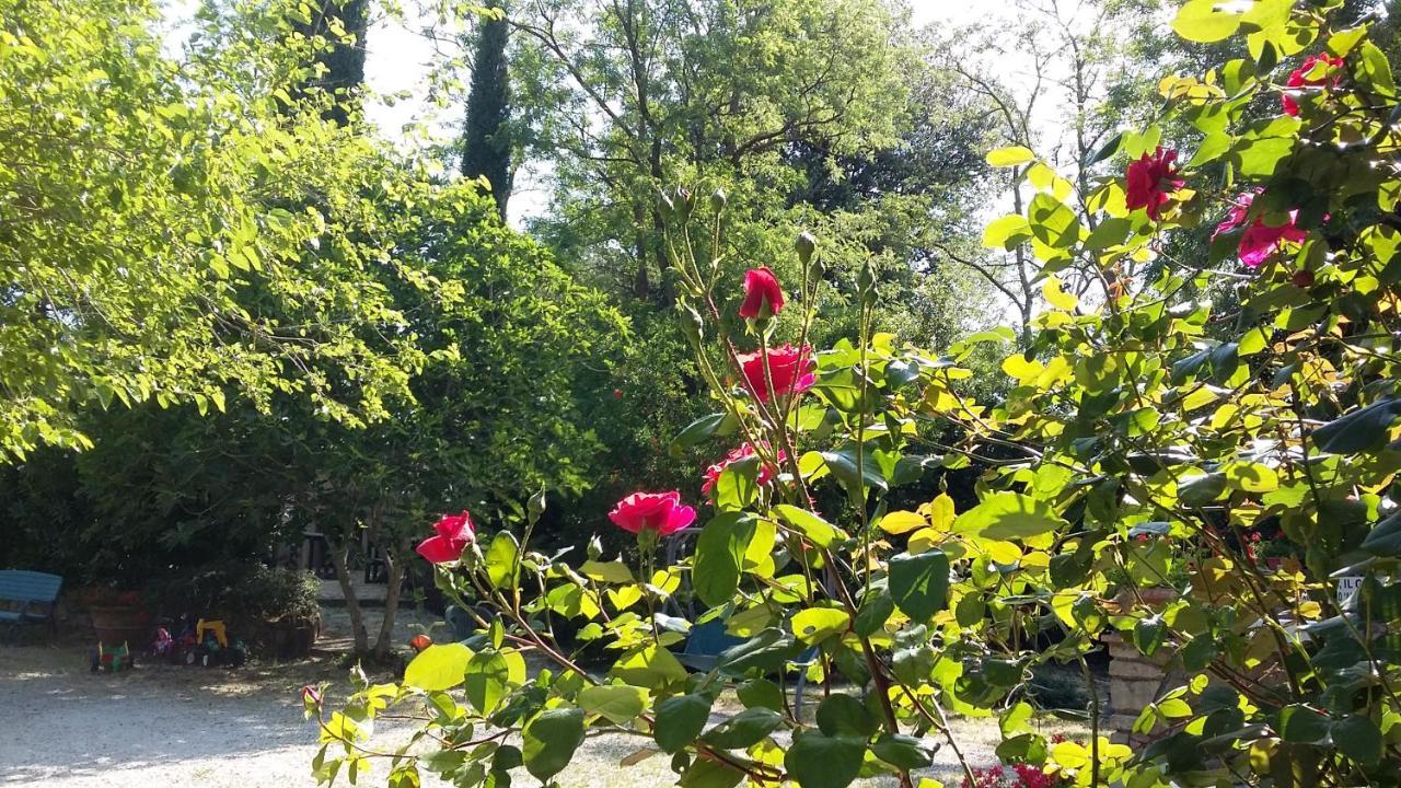 Agriturismo Alle Rose Volterra Luaran gambar