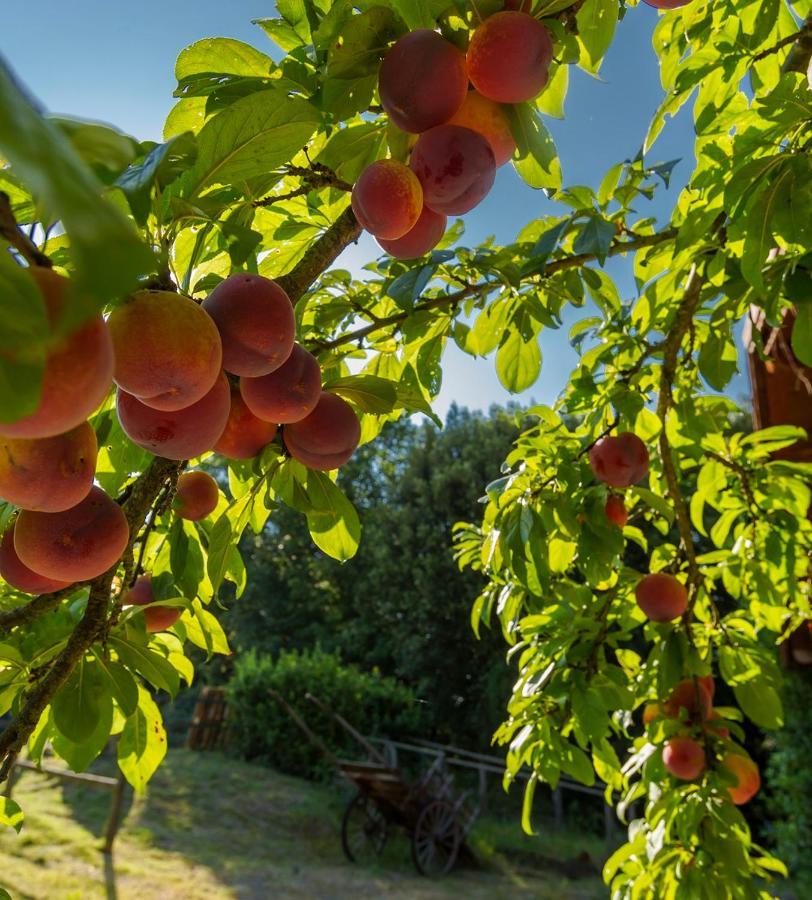 Agriturismo Alle Rose Volterra Luaran gambar