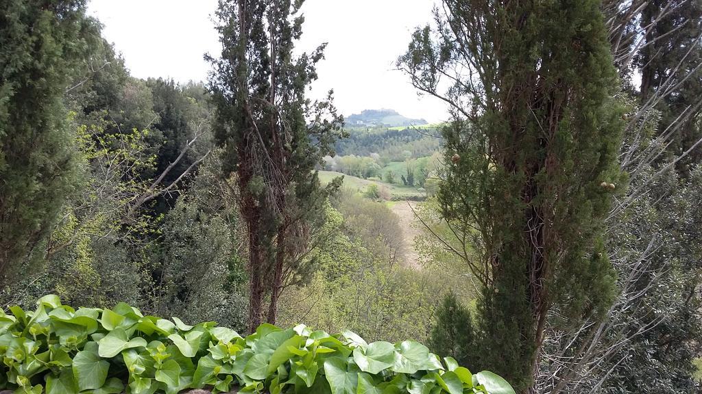 Agriturismo Alle Rose Volterra Luaran gambar