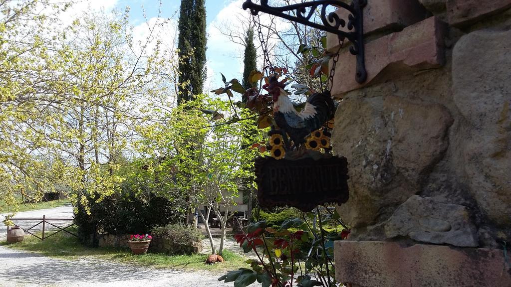 Agriturismo Alle Rose Volterra Luaran gambar